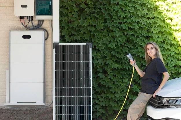 electric car holding plug solar 549612 1231